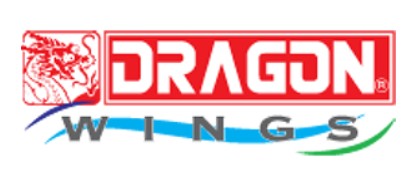 Dragon Wings