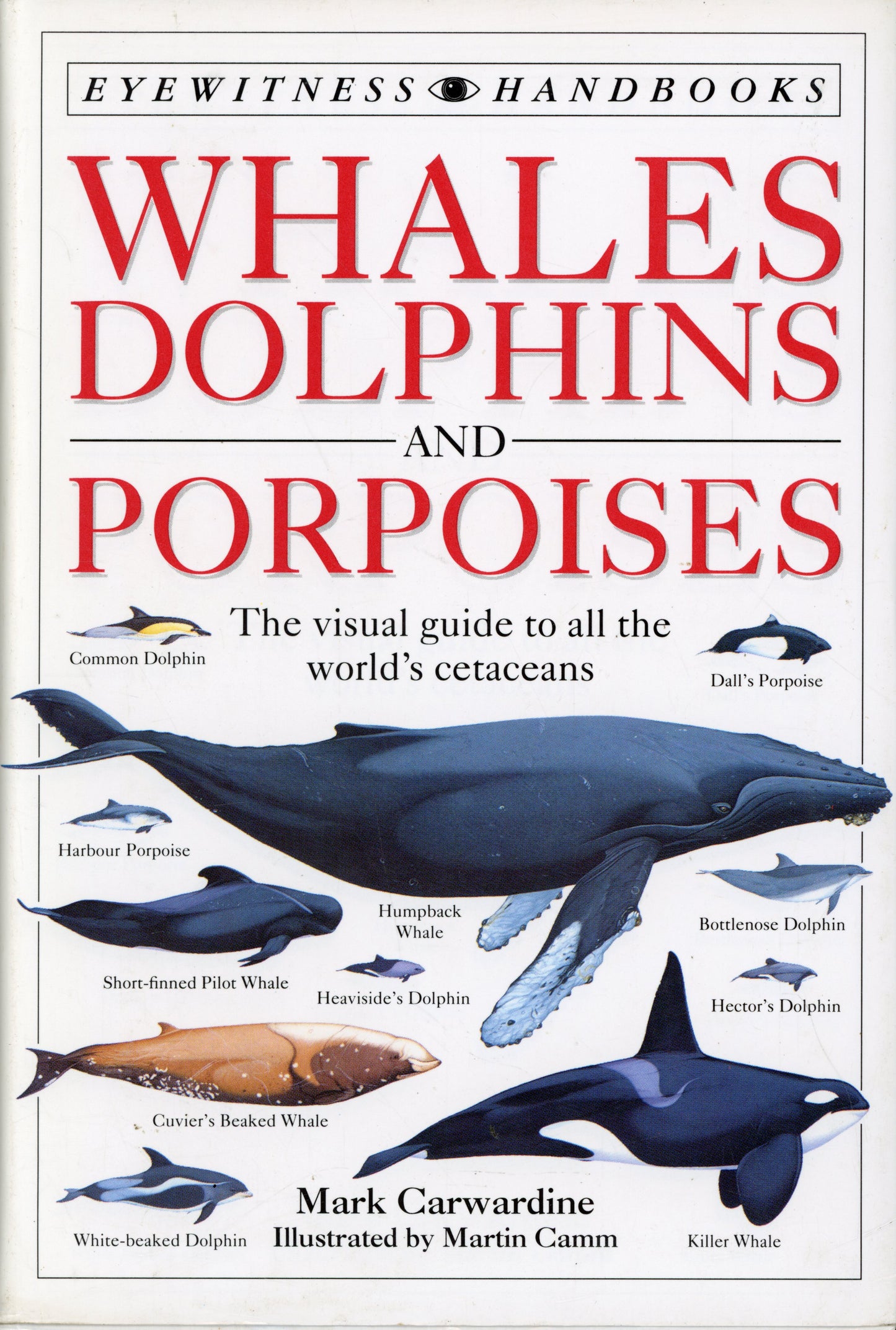 Whales Dolphins and Porpoises - Dorling Kindersley Ltd. 9780751310306