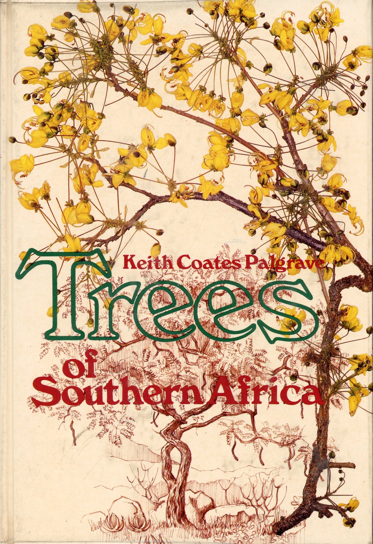 Trees of Southern Africa - 0869770810