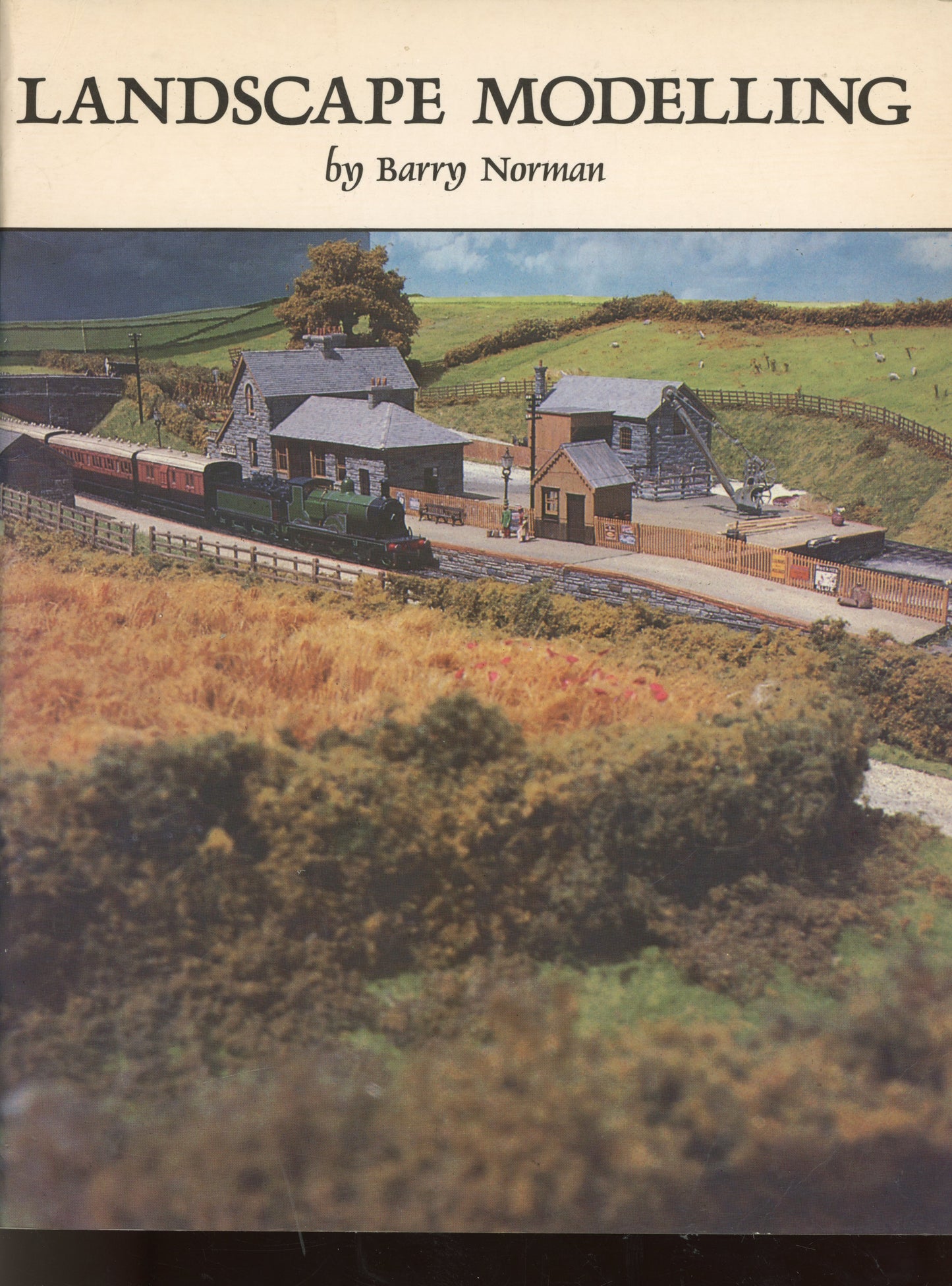 Landscape Modelling - Wild Swan Publications Ltd. 0906867444