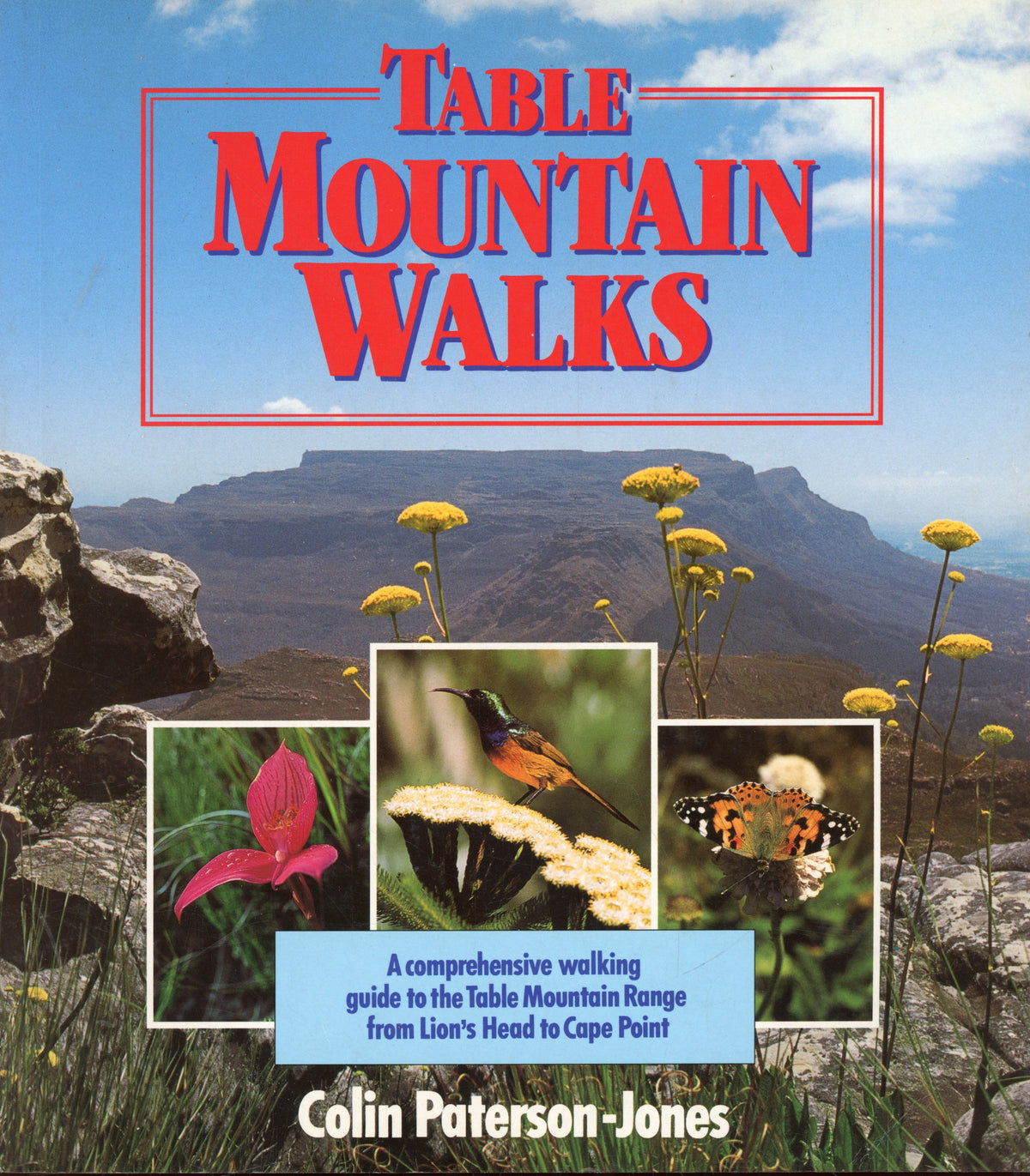 Table Mountain Walks - ISBN 1868251810