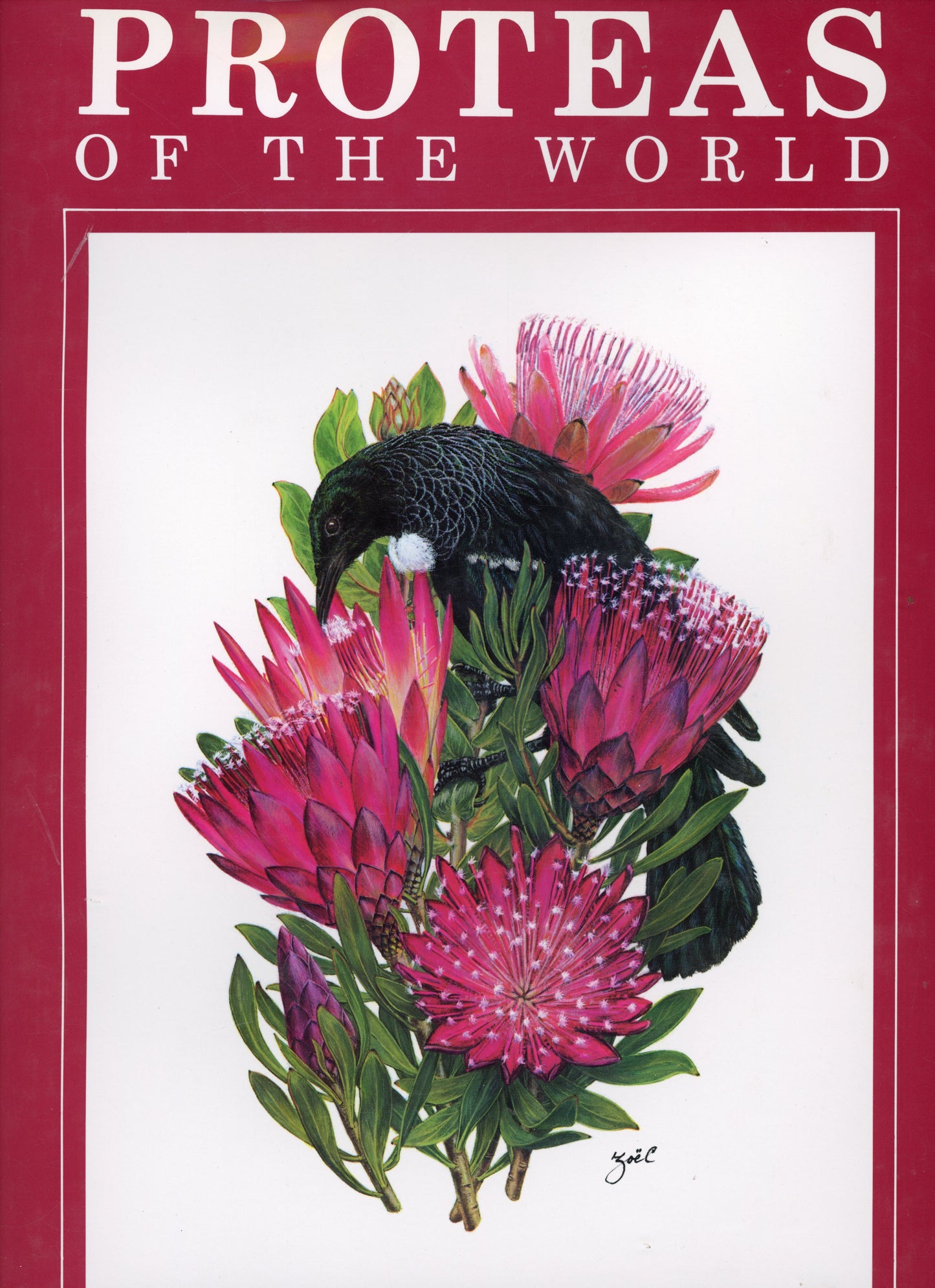 Proteas of the World - ISBN 187484903X