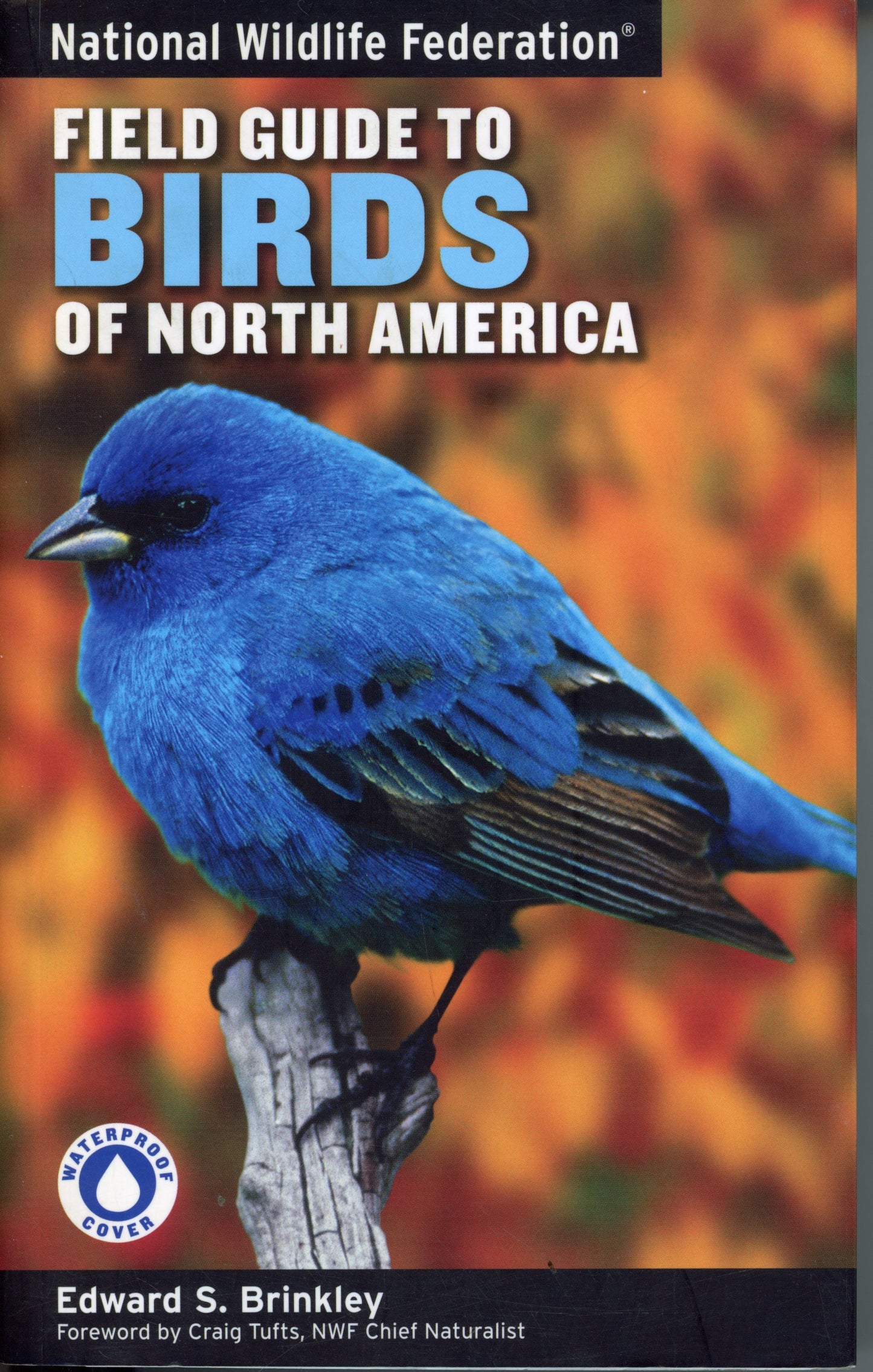 Field Guide to Birds of North America - 9781402738746
