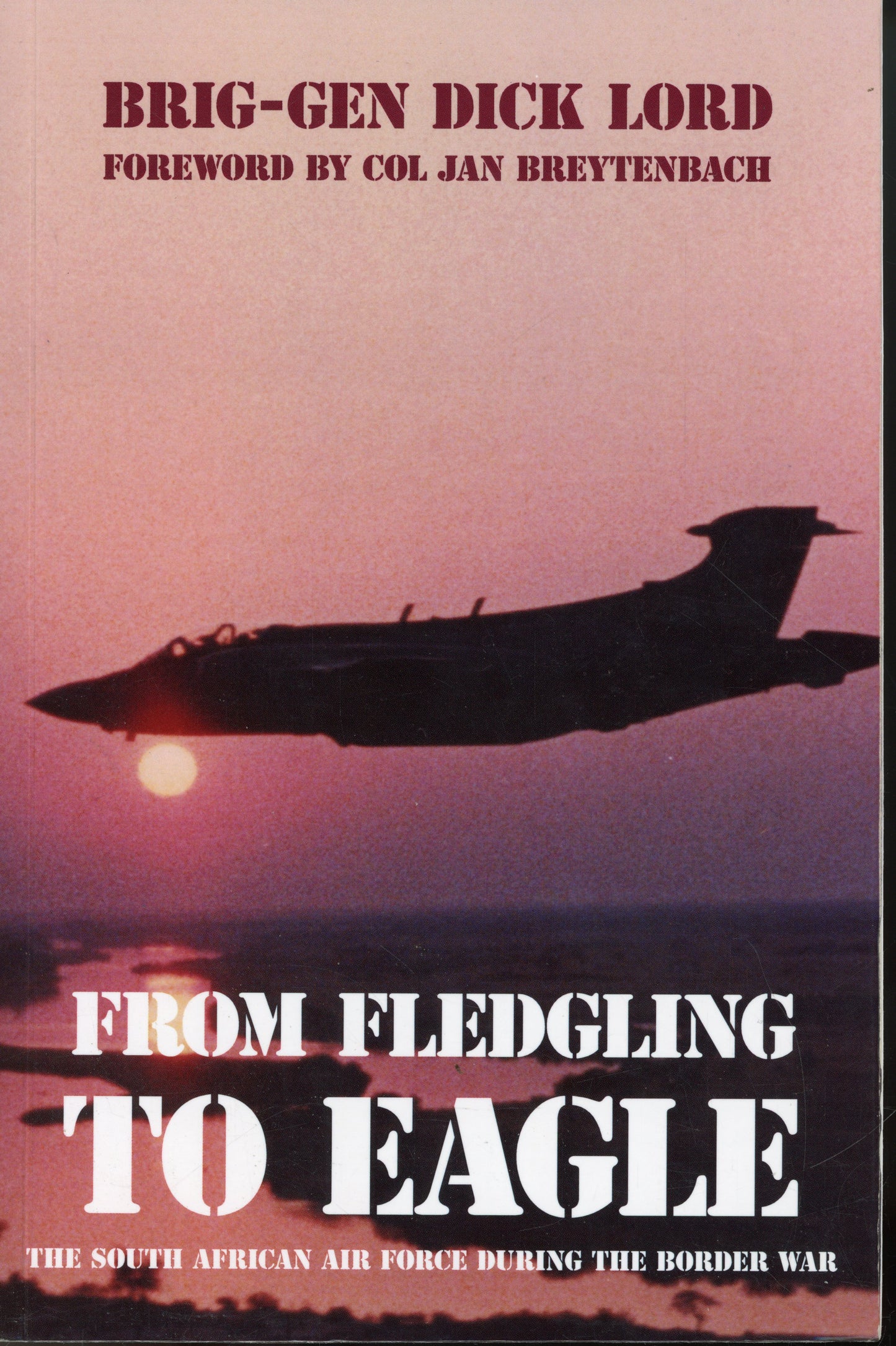 From Fledgeling to Eagle by Brig-Gen Dick Lord - 9781928359074