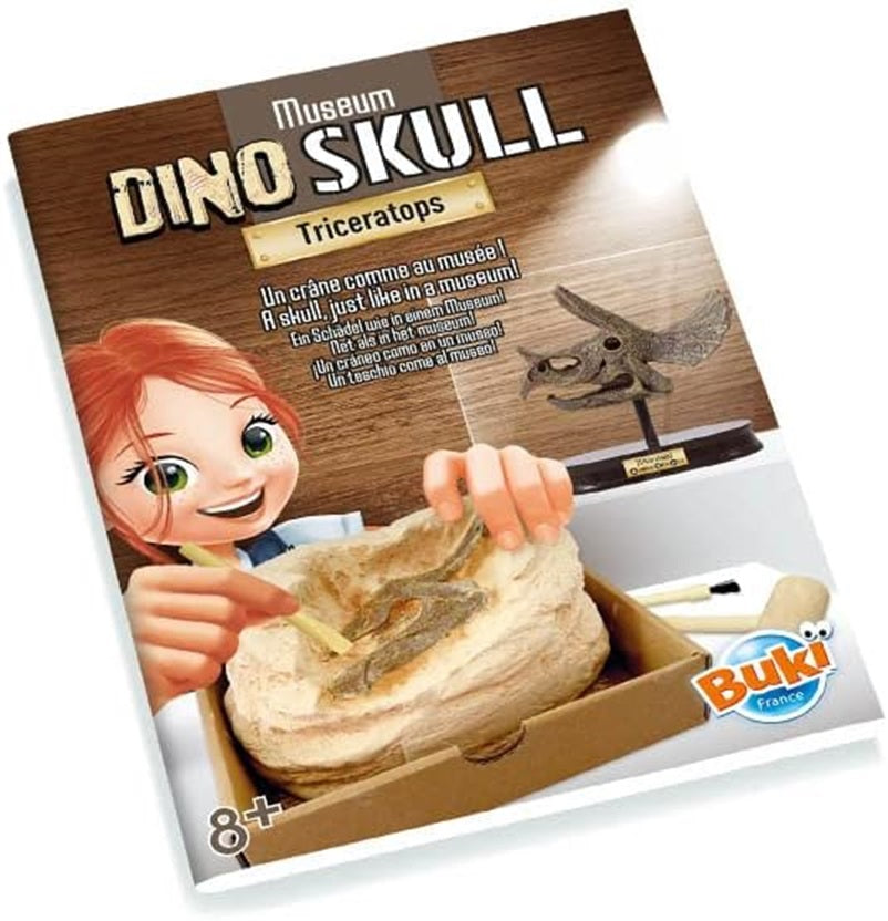 MUSEUM SKULL-TRICERATOPS BUKI BUKI2131