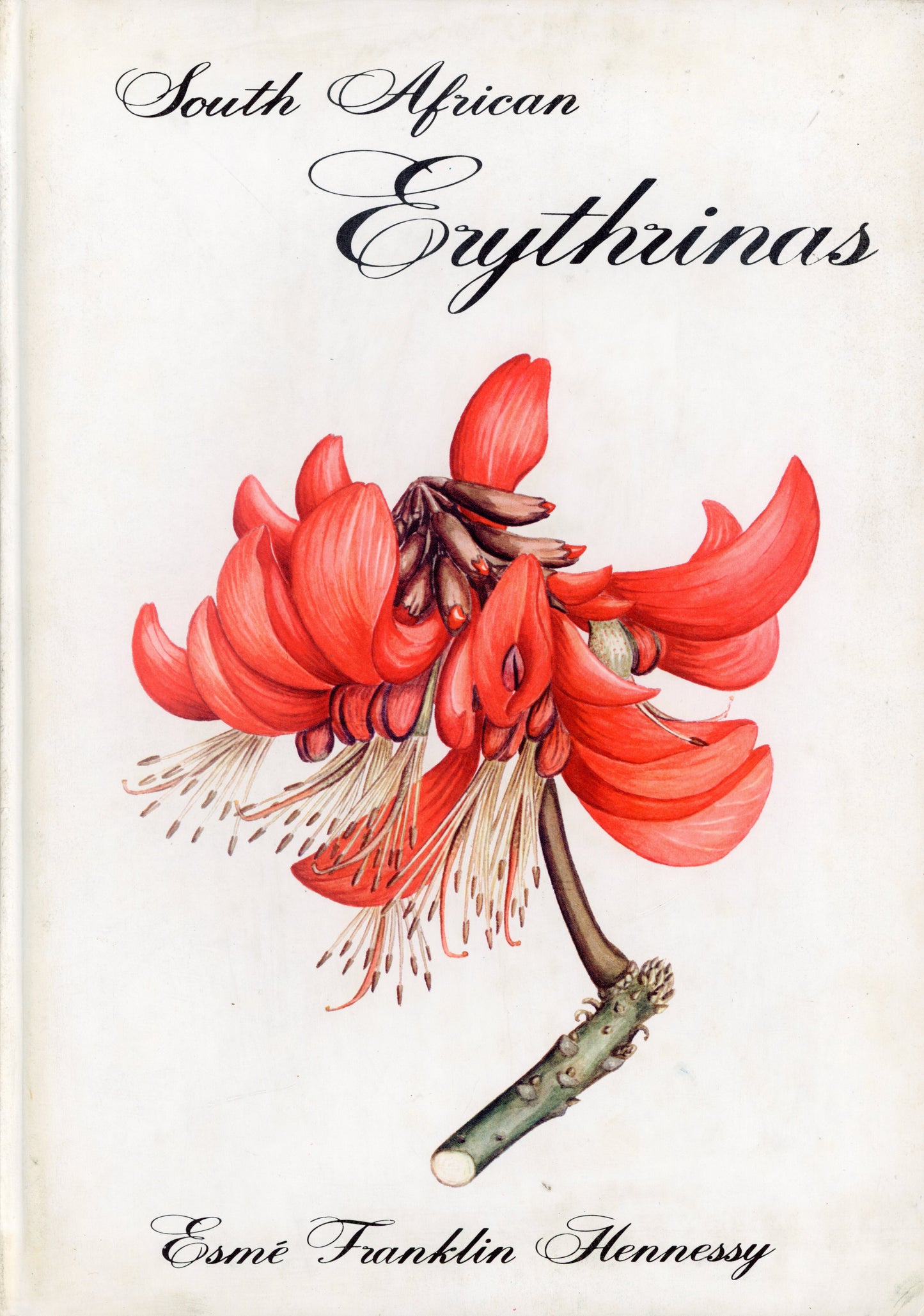 South African Erythrinas - Colorgraphic Durban ERYTHRINAS