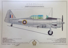 DAAF Harvard 7122 Profile Poster - H7122