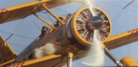Boeing Stearman Poster - NO-846