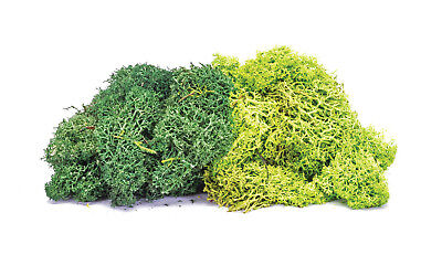 Lichen - Large Green Mix 75g Hornby R7195