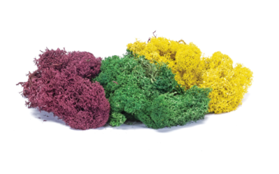 Lichen - Large Autumn Mix 75g Hornby R7197