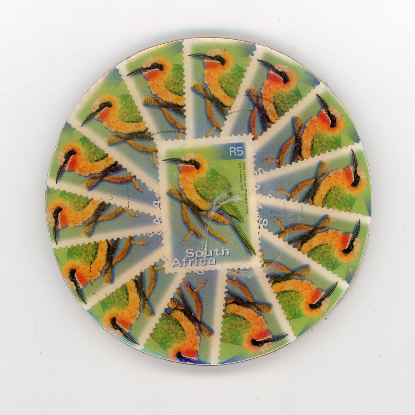 Whitefronted Bee-eater Coaster - SC1315