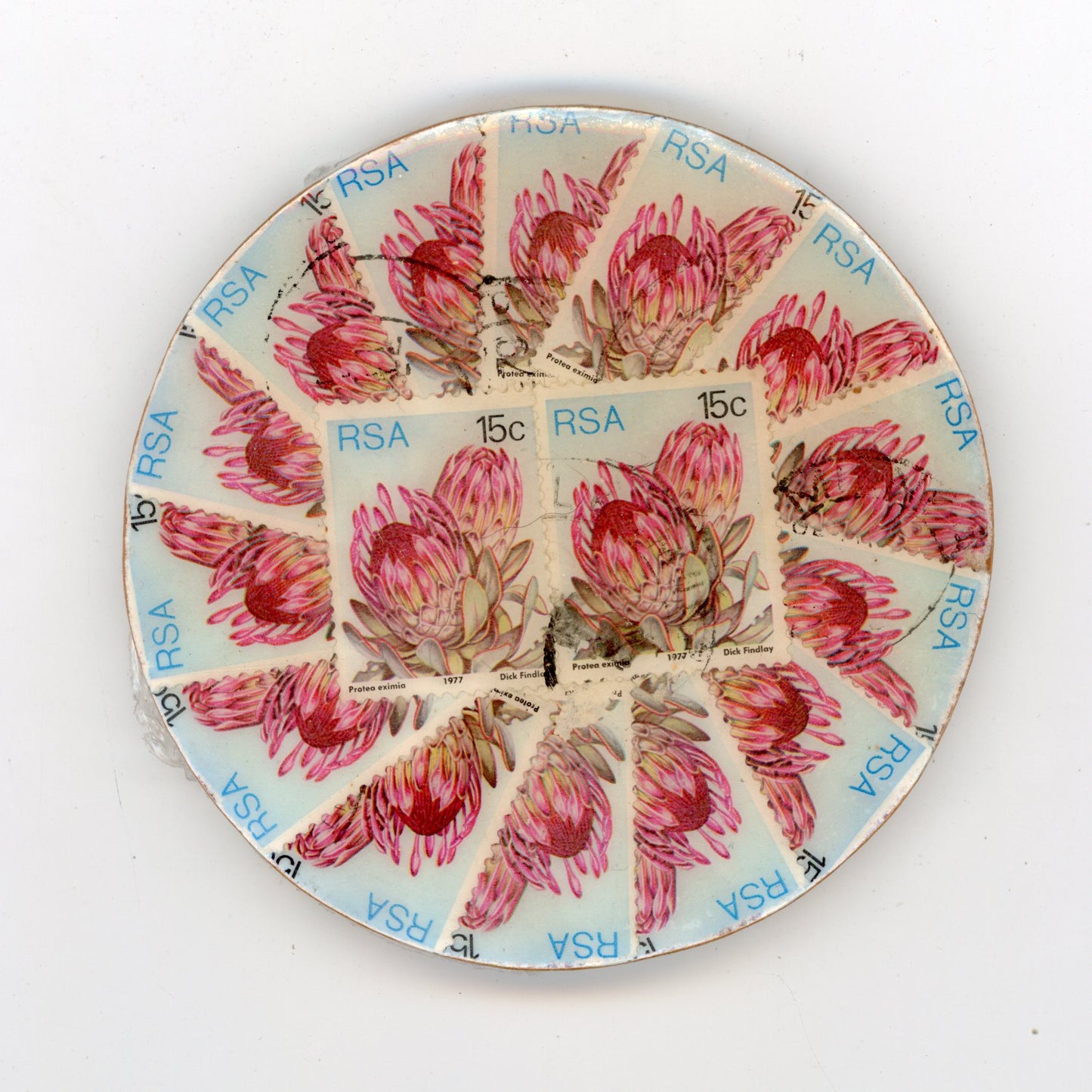 South African Protea Coaster Set of 4 - SC419/423/426/428