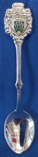 South African Air Force Gymnasium Souvenir Spoon - TAS016766