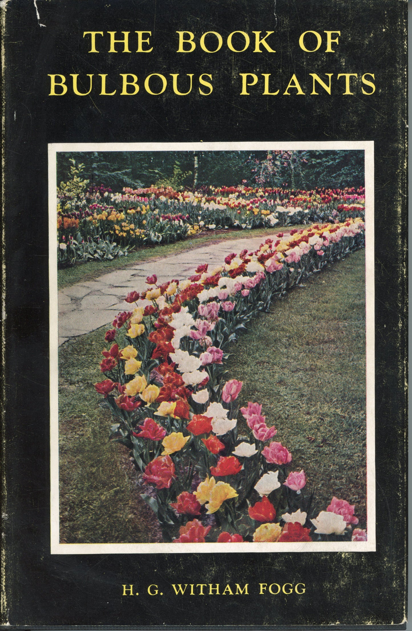 The Book of Bulboius Plans by H.G. Witham Fogg