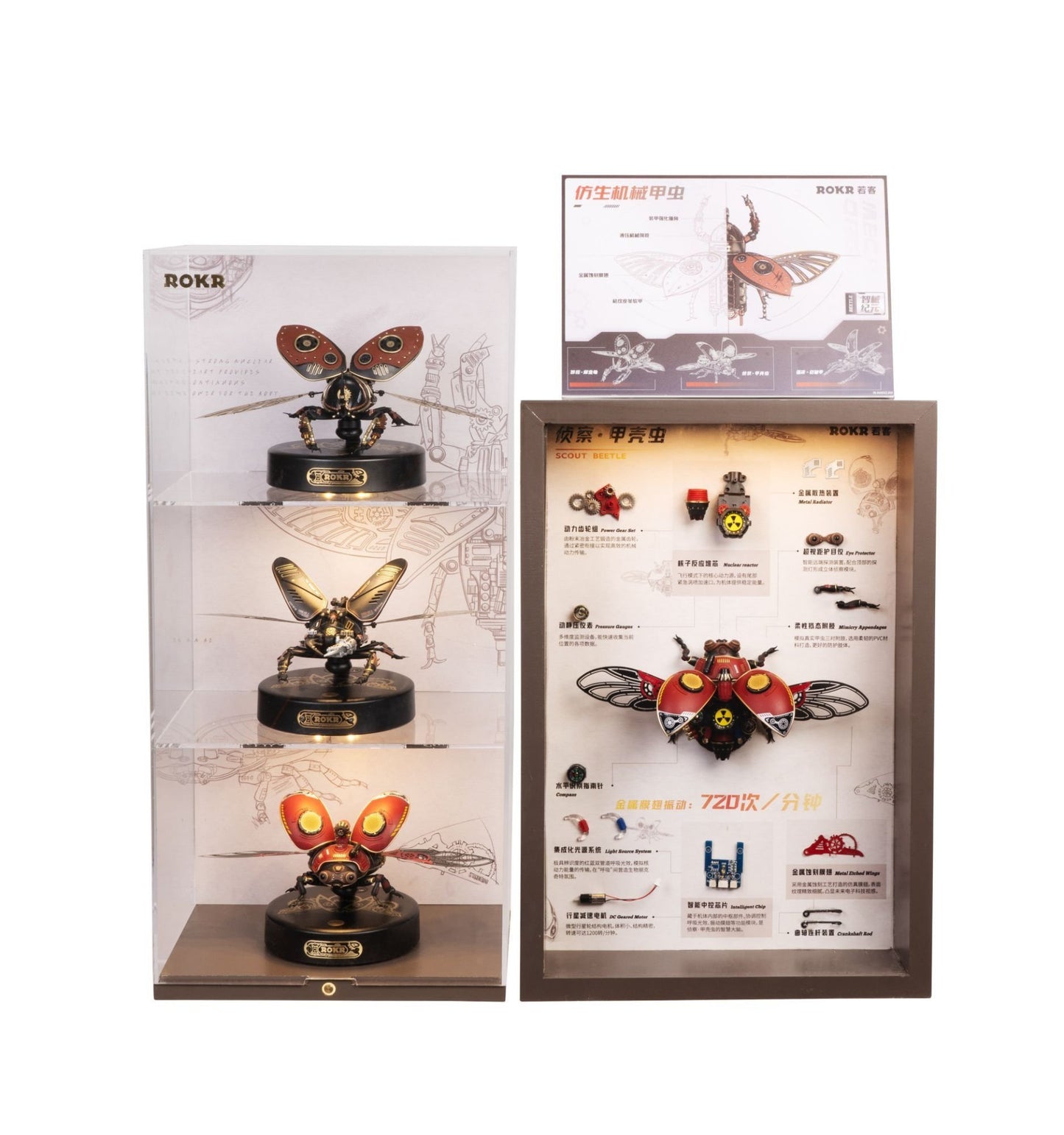 Rhinoceros Beetle Robotime ROBMI01