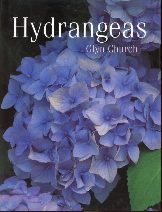 Hydrangees - 0304350222