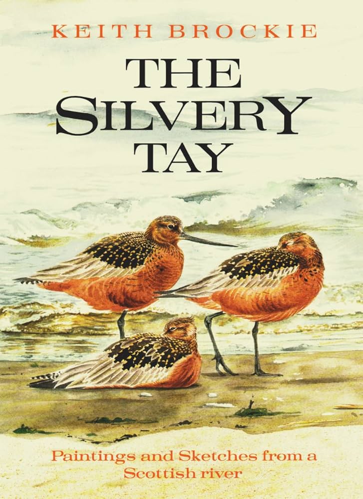 The Silvery Tay - Paintings and Sketches from a Scottish River - Dent 0460047264