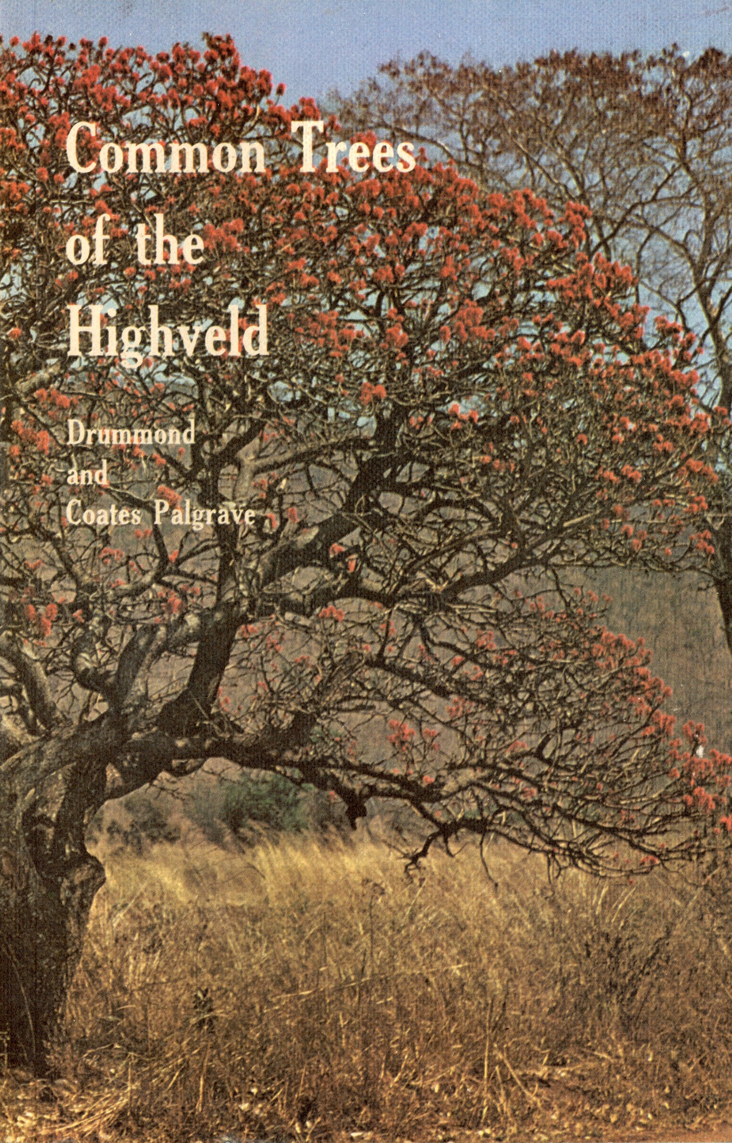 Common Trees of the Highveld - 08582641063