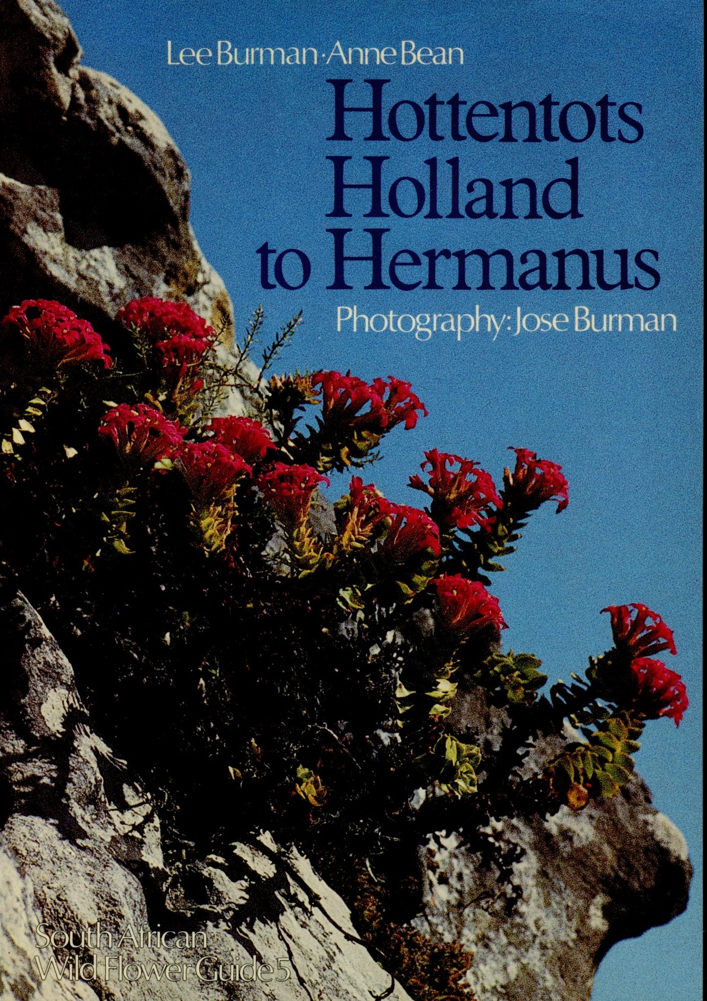 South African Wild Flowers Guide 5 Hottentots Holland to Hermanus - 062008393X