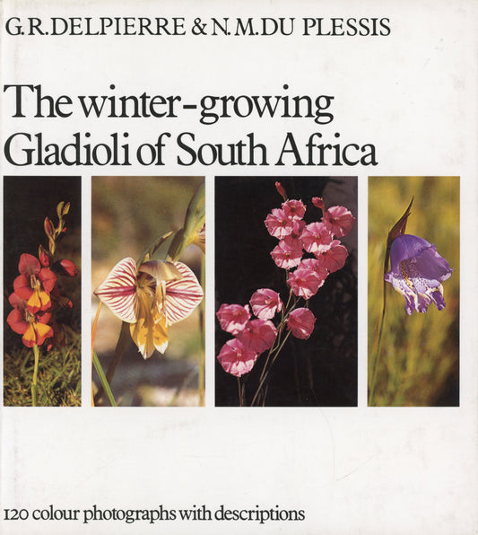 The winter-growing Gladioli of South Africa - ISBN 0624005763