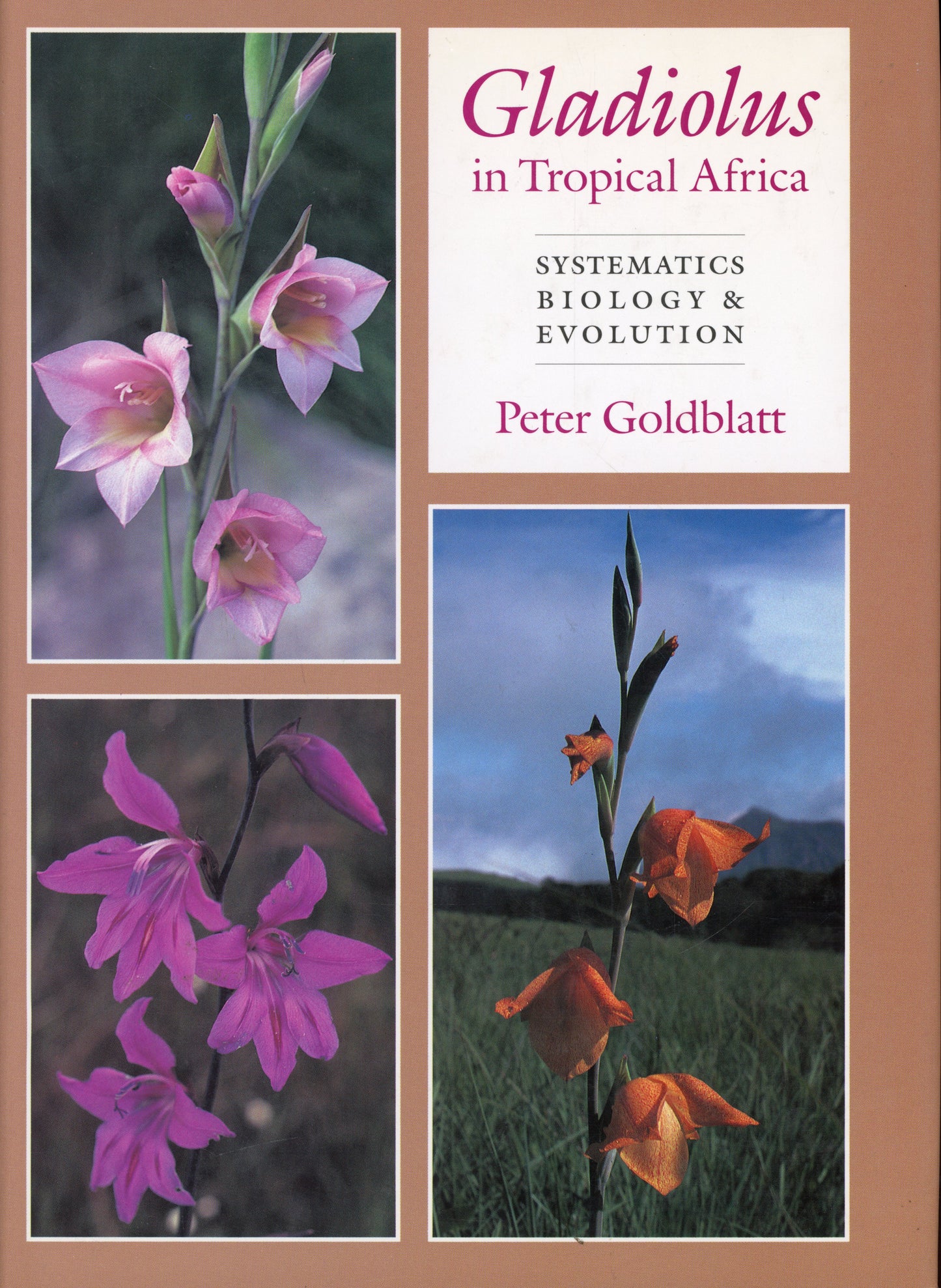 Gladiolus in Tropical Africa - ISBN 0881923338
