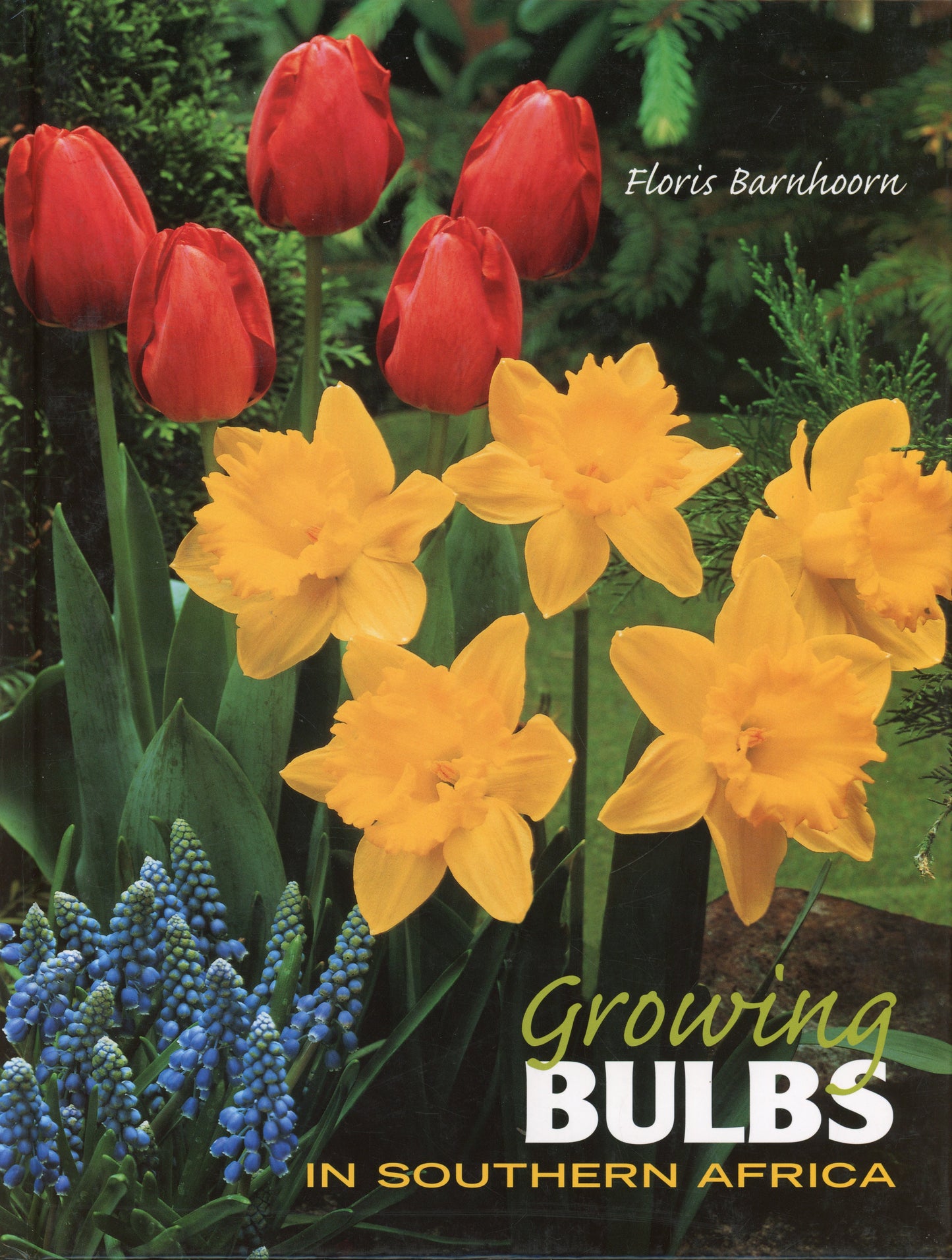 Growing Bulbs in Southern Africa - ISBN 1770071962