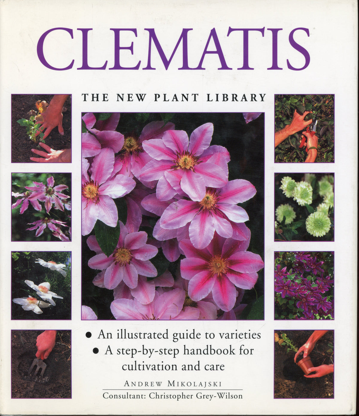 Clematis - ISBN 1859675115