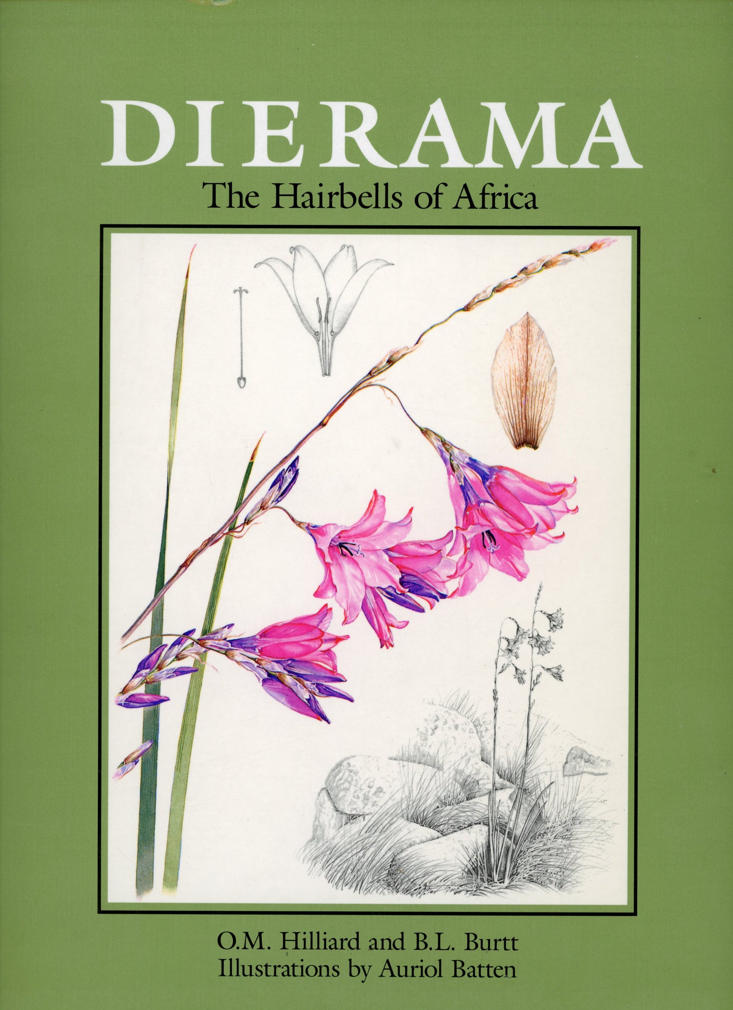 Dierama - The Hairbells of Africa - ISBN 1874802917