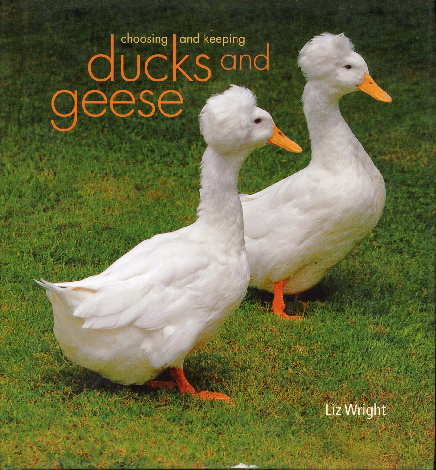 Choosing and Keeping Ducks and Geese - 9780753721087