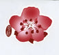 China Airlines Sticker - AS36
