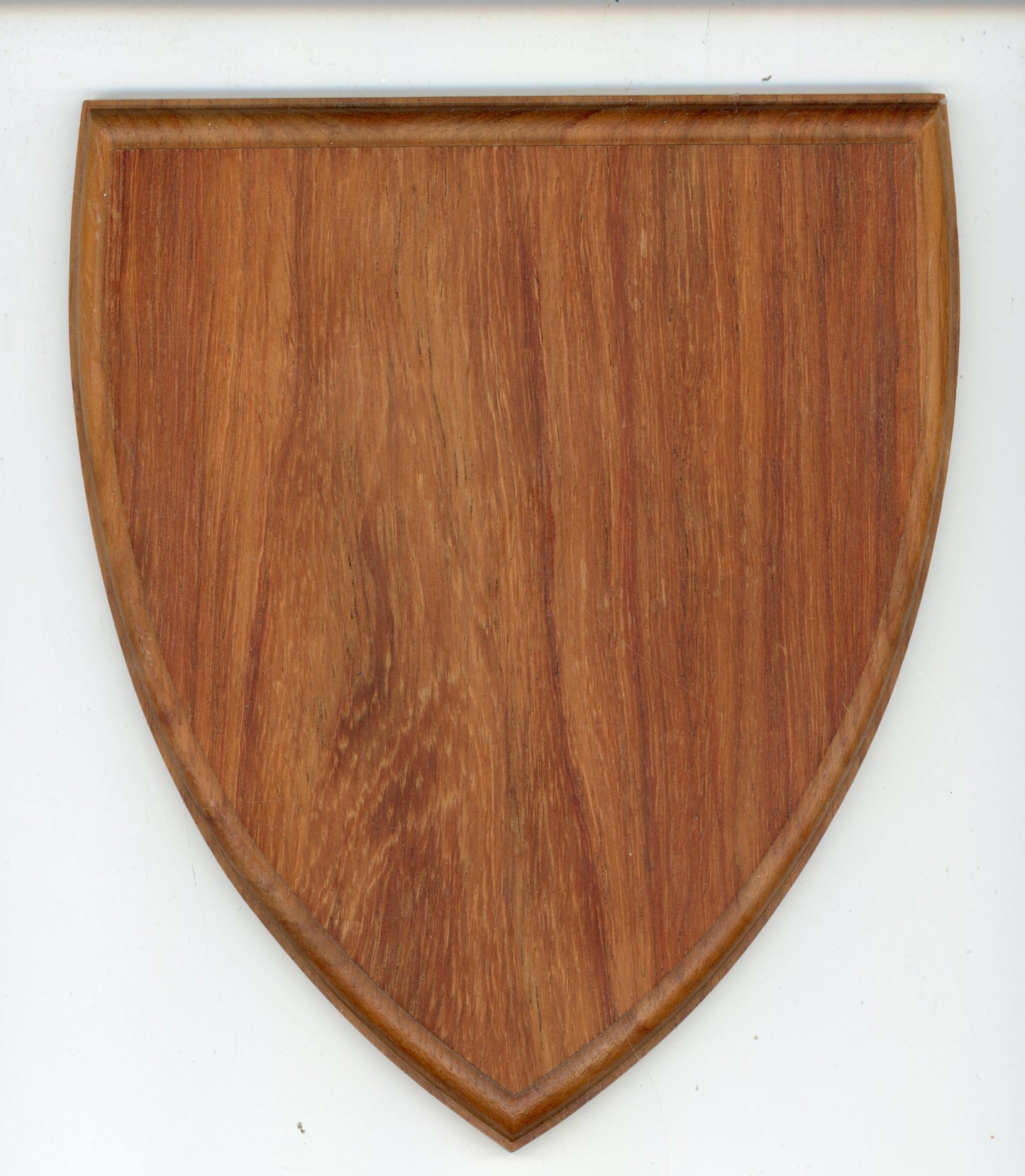 Blank Shields - B100