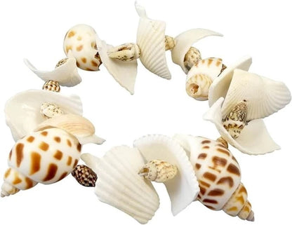 DIG KIT-SHELLS BUKI BUKI441