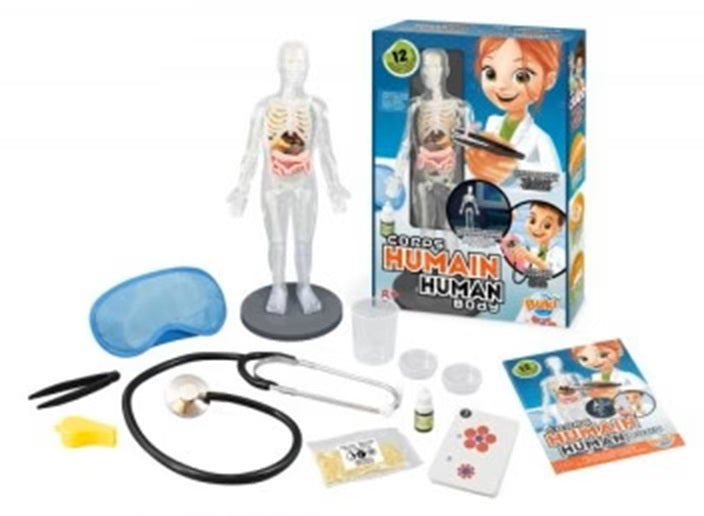 HUMAN BODY ANATOMY 12 EXPERIMENTS BUKI BUK2163