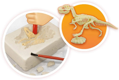 VOLCANOES AND DINOSAURS 15 EXPERIMENTS BUKI BUK2224