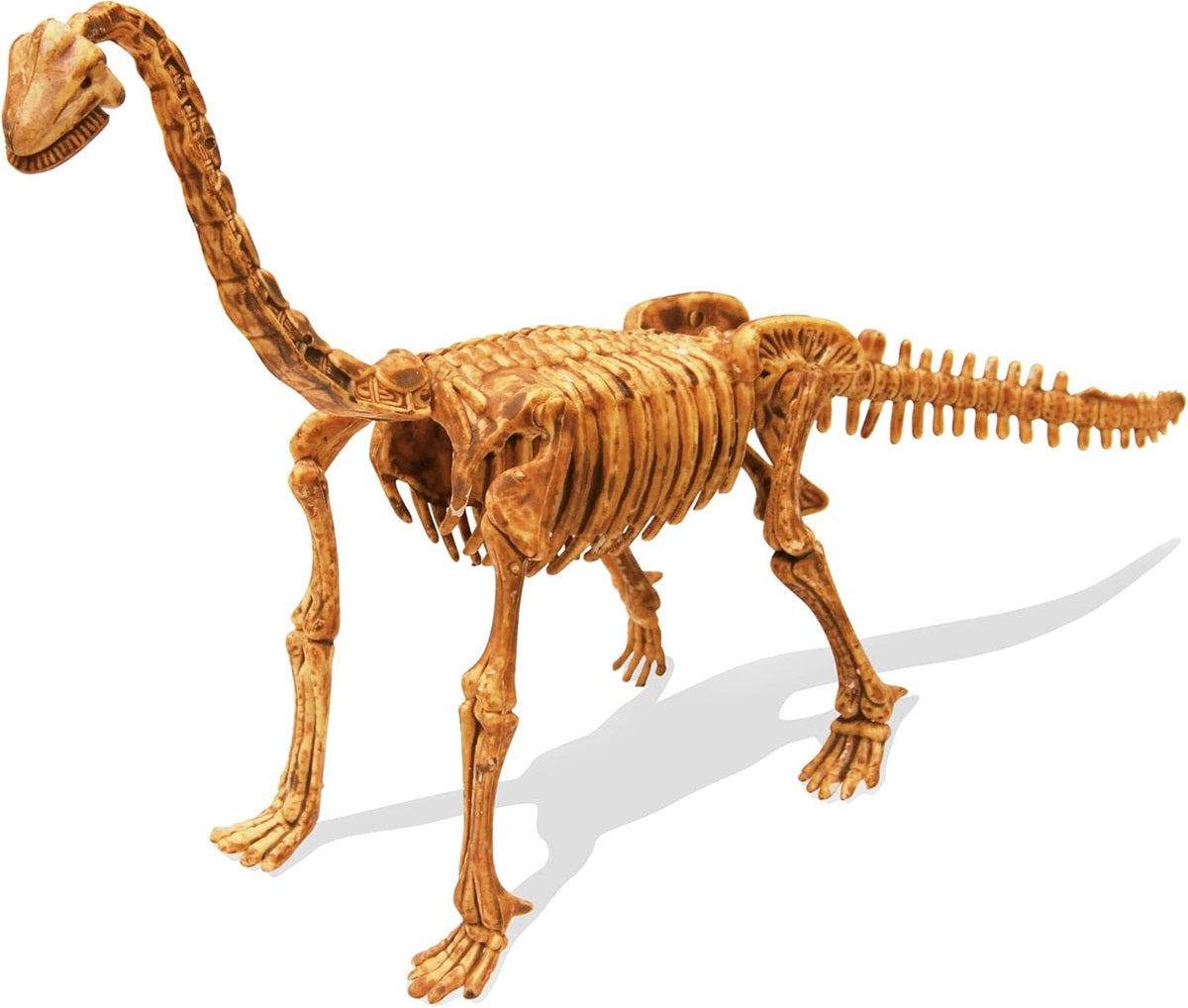 DINO KIT BRACHIOSAURUS PLASTER INCLUDED BUKI BUK439BRA