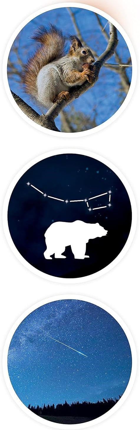 MINI SCIENCES - TELESCOPE X15 MAGNIFICATION BUKI BUK9004