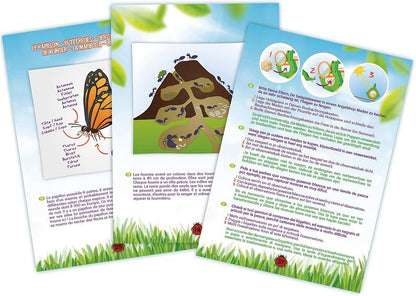INSECT EXPLORER KIT 8 EXPERIMENTS BUKI BUKBL033