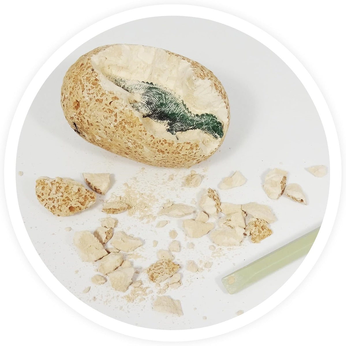 DINO EGGS DISPLAY 12 ASS BUKI BUKD60