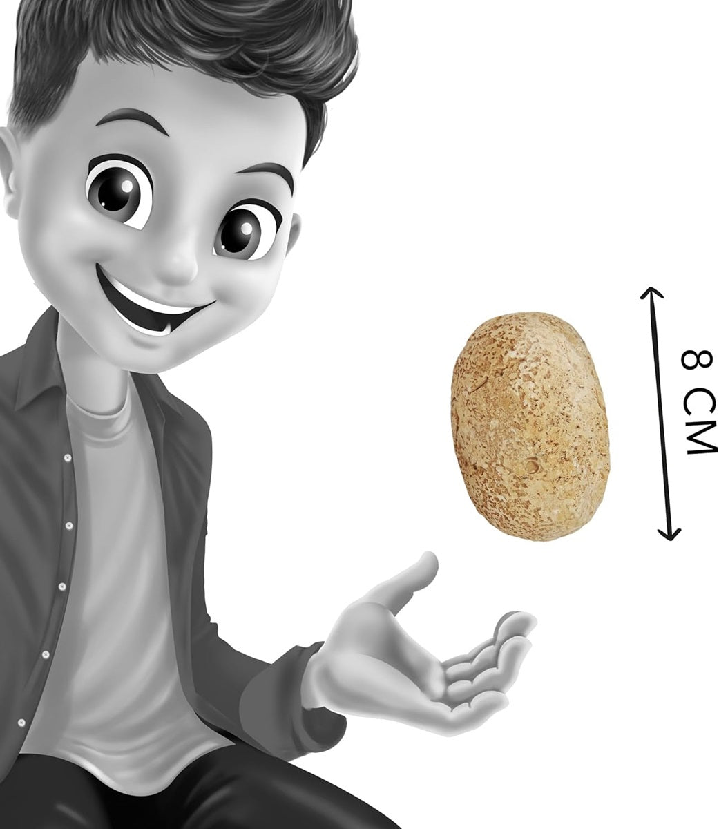 DINO EGGS DISPLAY 12 ASS BUKI BUKD60