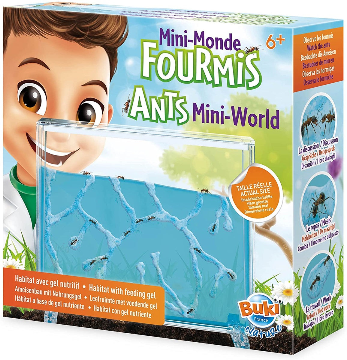 ANTS MINI-WORLD BUKI BUKFS4206