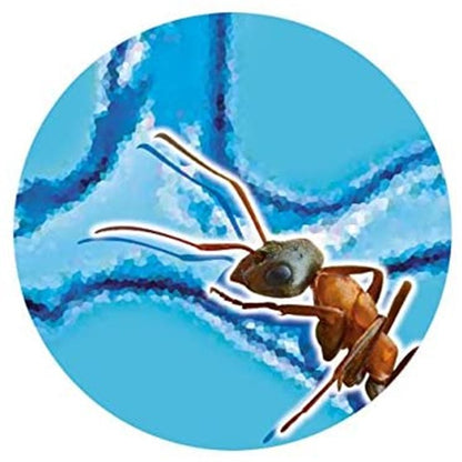 ANTS MINI-WORLD BUKI BUKFS4206