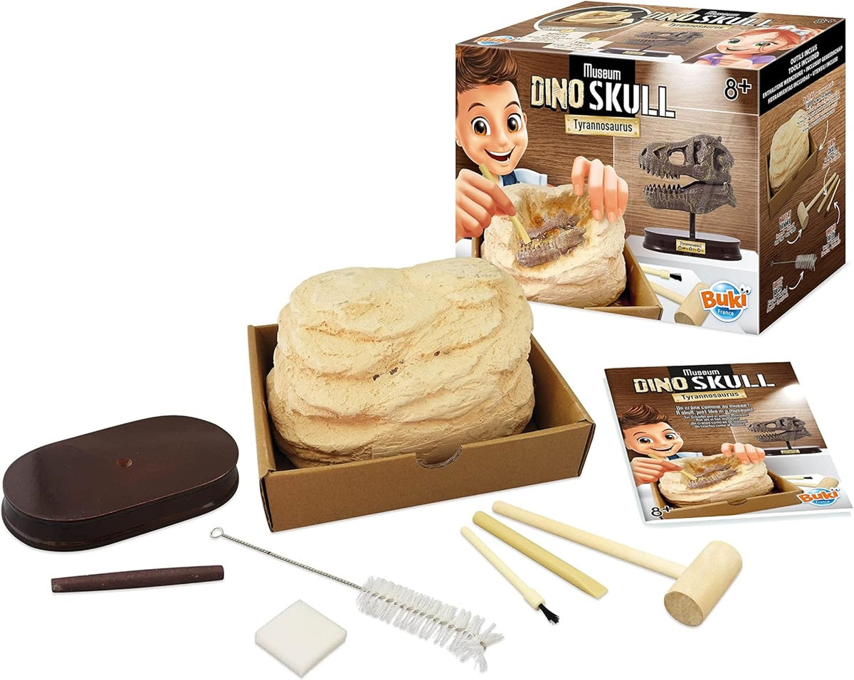 MUSEUM SKULL-T-REX BUKI BUKI2130