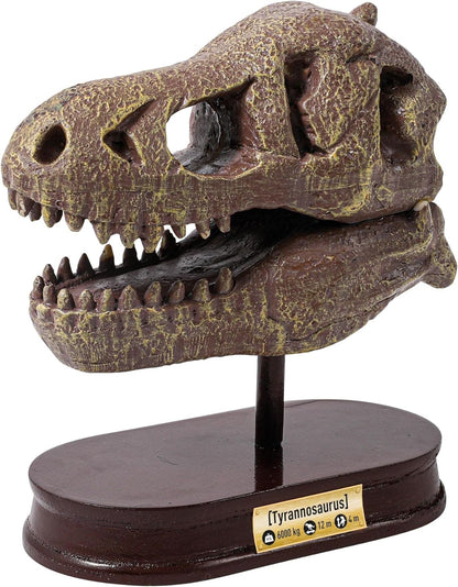 MUSEUM SKULL-T-REX BUKI BUKI2130