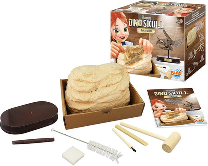 MUSEUM SKULL-TRICERATOPS BUKI BUKI2131