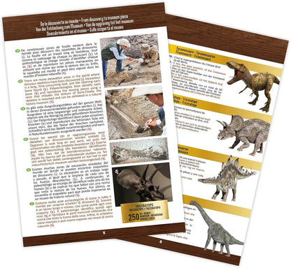 MUSEUM SKULL-TRICERATOPS BUKI BUKI2131