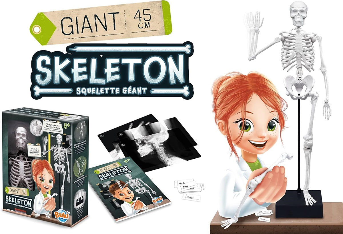 SKELETON 45CM BUKI BUKI2180