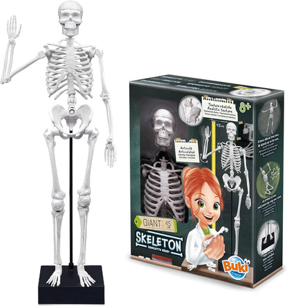 SKELETON 45CM BUKI BUKI2180