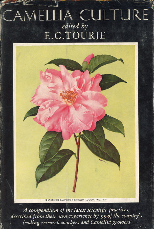 Camellia Culture