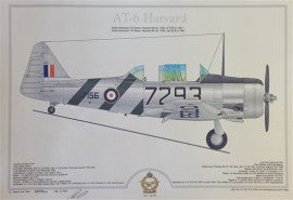 SAAF AT-6 Harvard 7293 Profile Poster - H7293