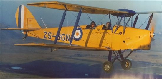 Tiger Moth ZS-BGN Poster - NO-201
